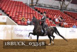 18BUCK_03348 proof