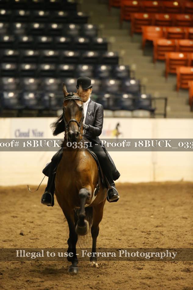 Proof 18BUCK_03351