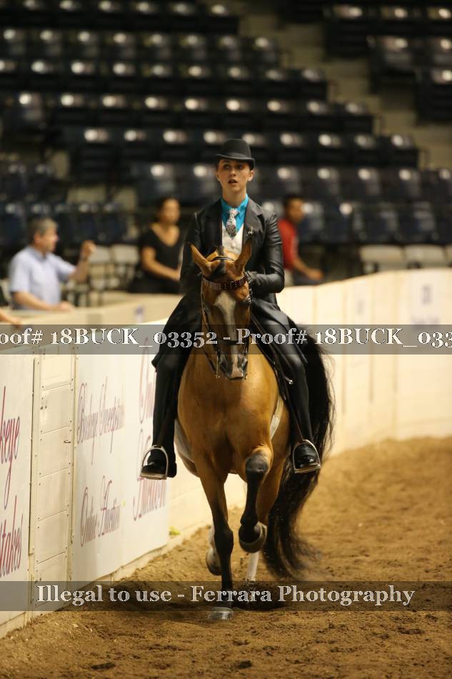 Proof 18BUCK_03352
