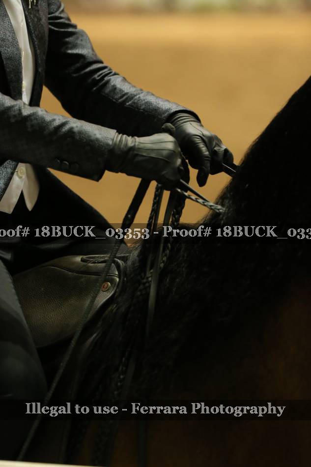 Proof 18BUCK_03353