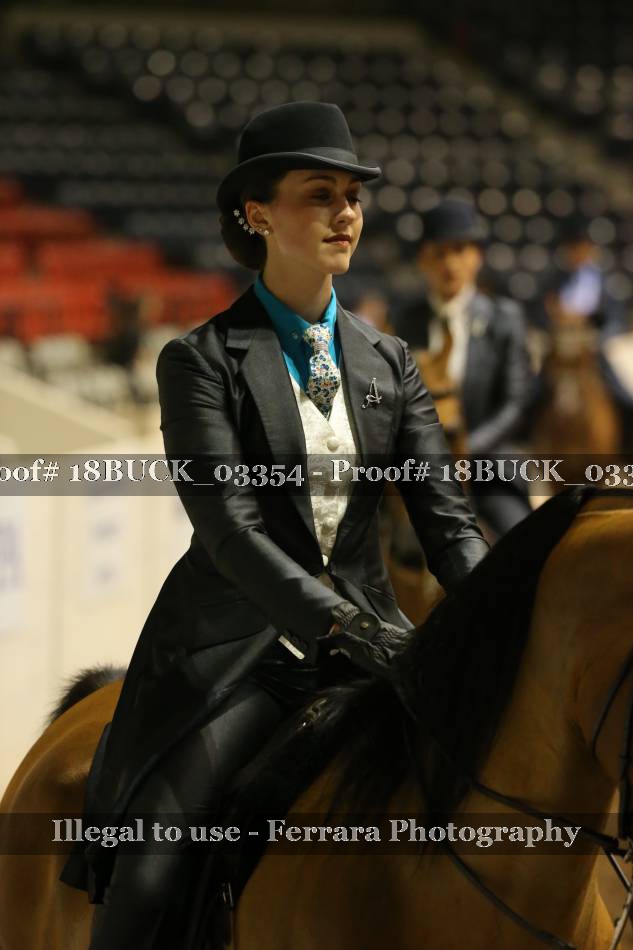 Proof 18BUCK_03354
