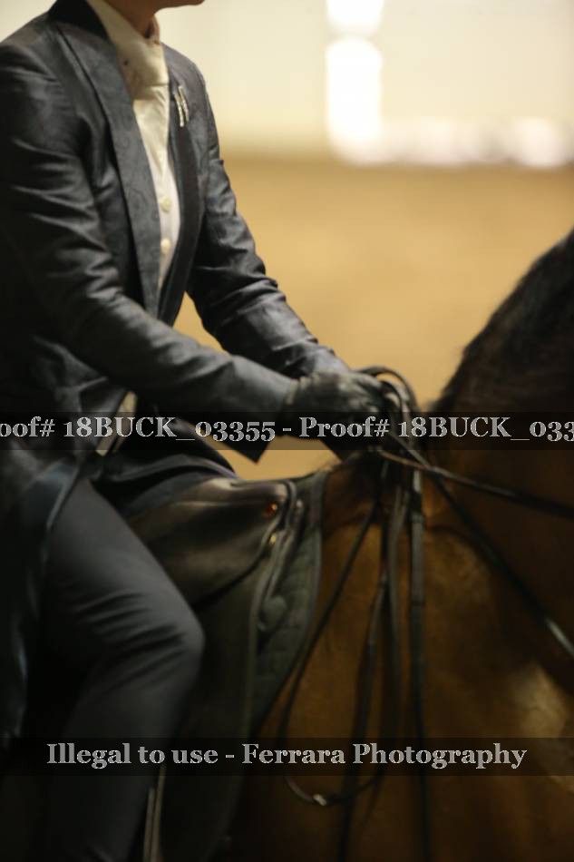 Proof 18BUCK_03355