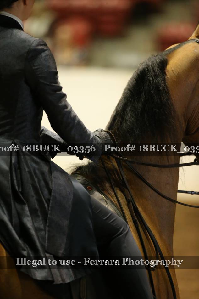 Proof 18BUCK_03356