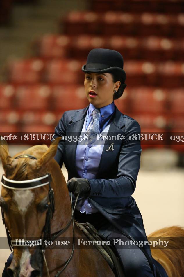 Proof 18BUCK_03358