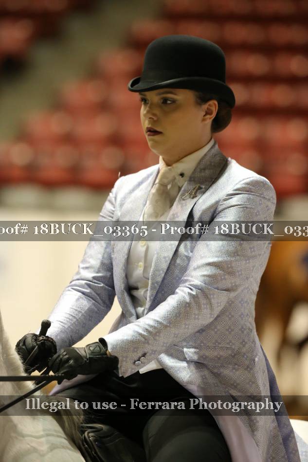 Proof 18BUCK_03365
