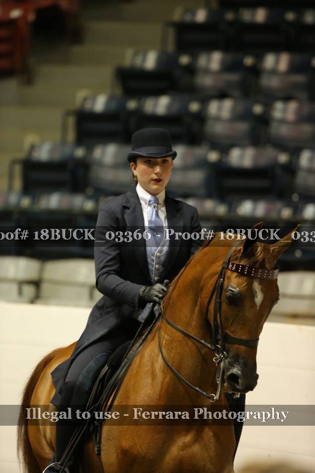 Proof 18BUCK_03366