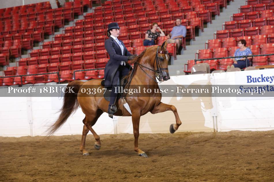 Proof 18BUCK_03367