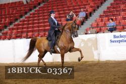 18BUCK_03367 proof