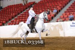18BUCK_03368 proof