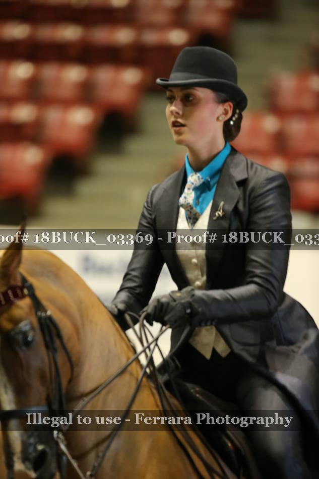Proof 18BUCK_03369
