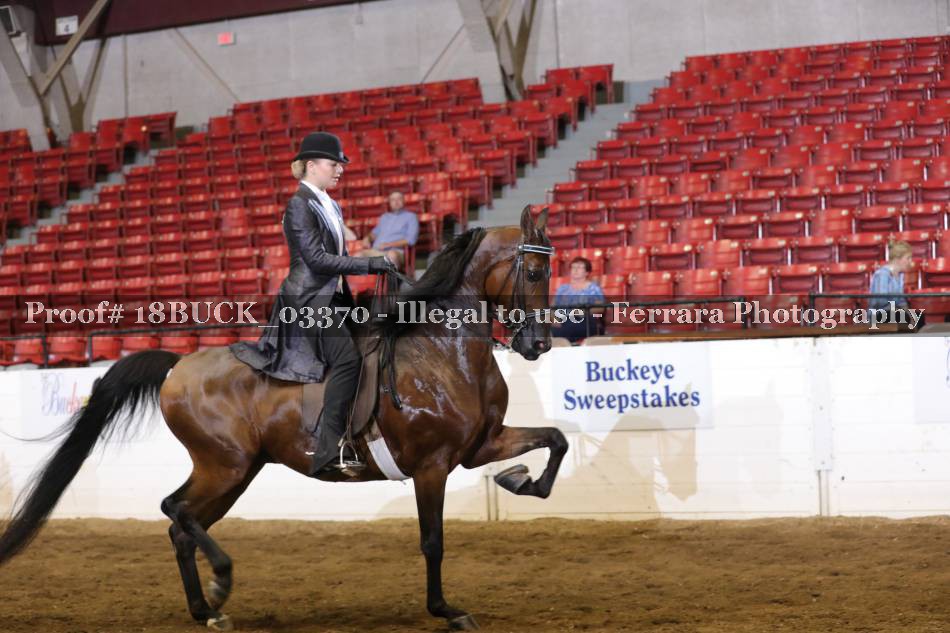 Proof 18BUCK_03370