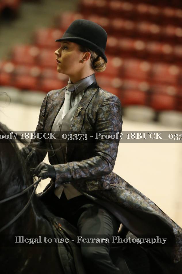 Proof 18BUCK_03373
