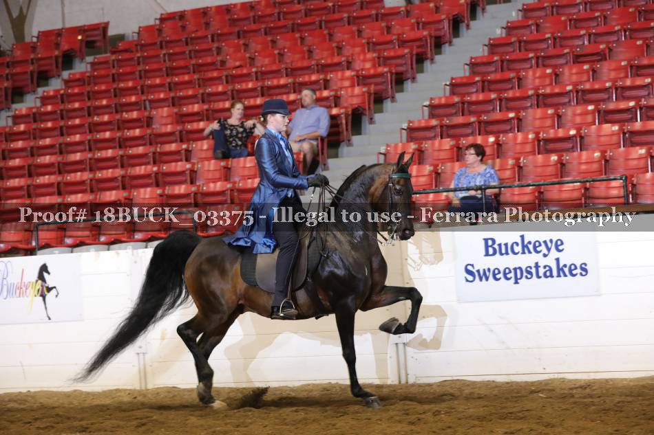 Proof 18BUCK_03375