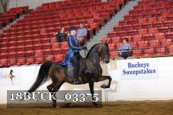 18BUCK_03375 proof