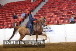 18BUCK_03378 proof