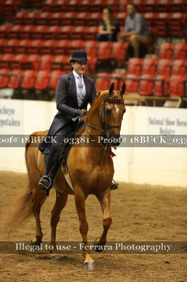 Proof 18BUCK_03381