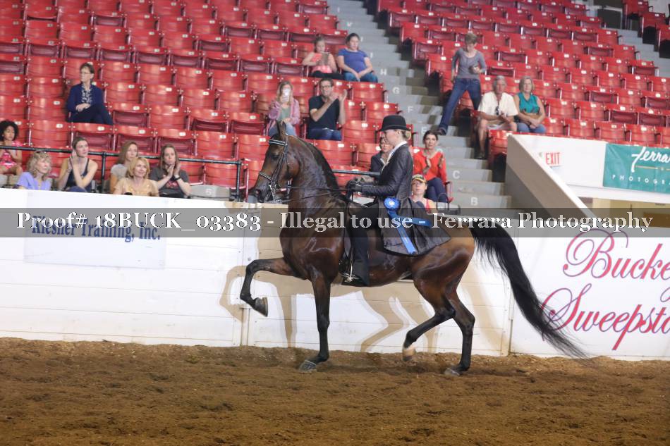 Proof 18BUCK_03383