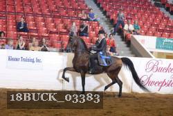 18BUCK_03383 proof