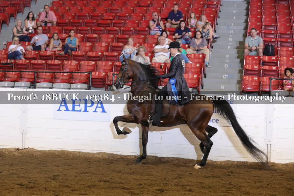 Proof 18BUCK_03384