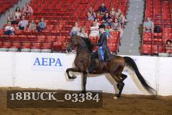 18BUCK_03384 proof