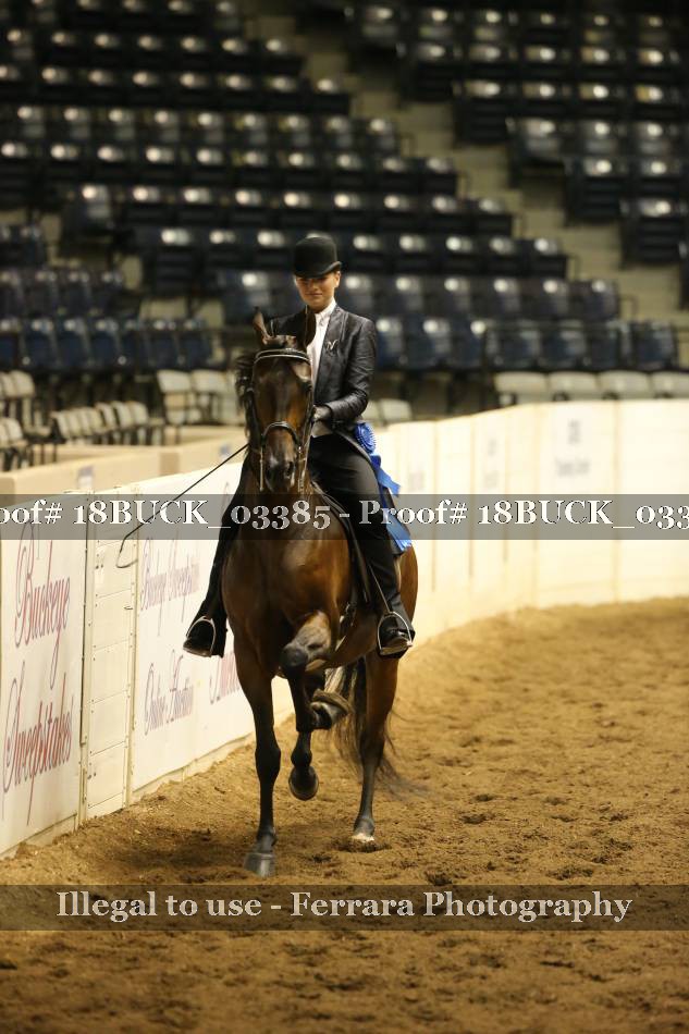 Proof 18BUCK_03385