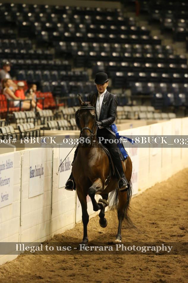 Proof 18BUCK_03386