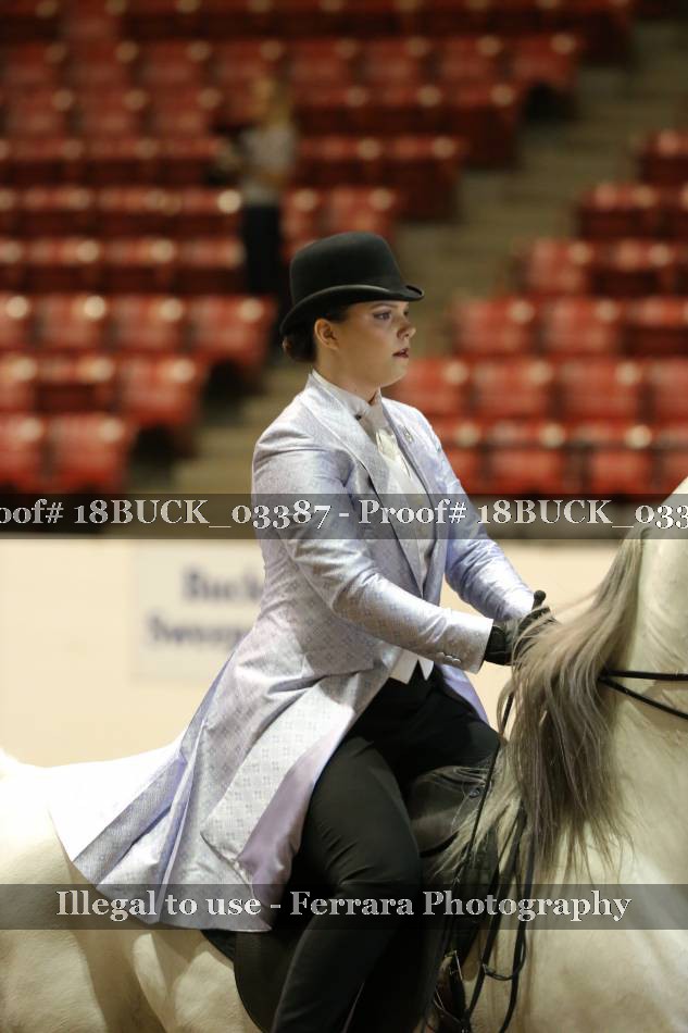 Proof 18BUCK_03387