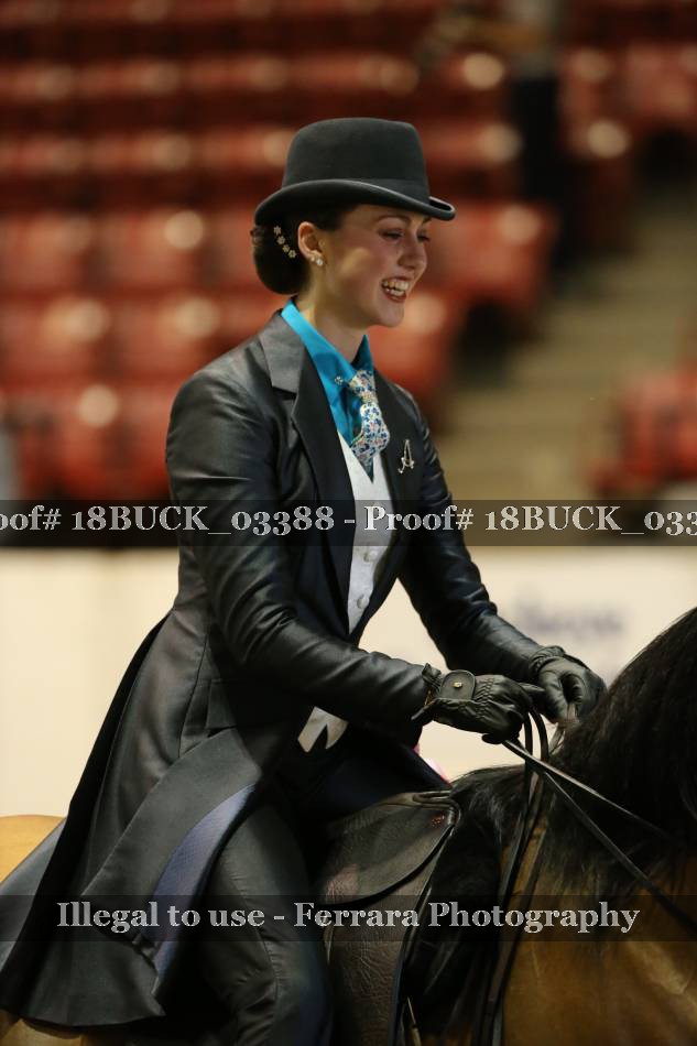 Proof 18BUCK_03388
