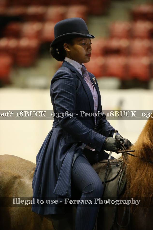 Proof 18BUCK_03389