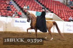 18BUCK_03390 proof
