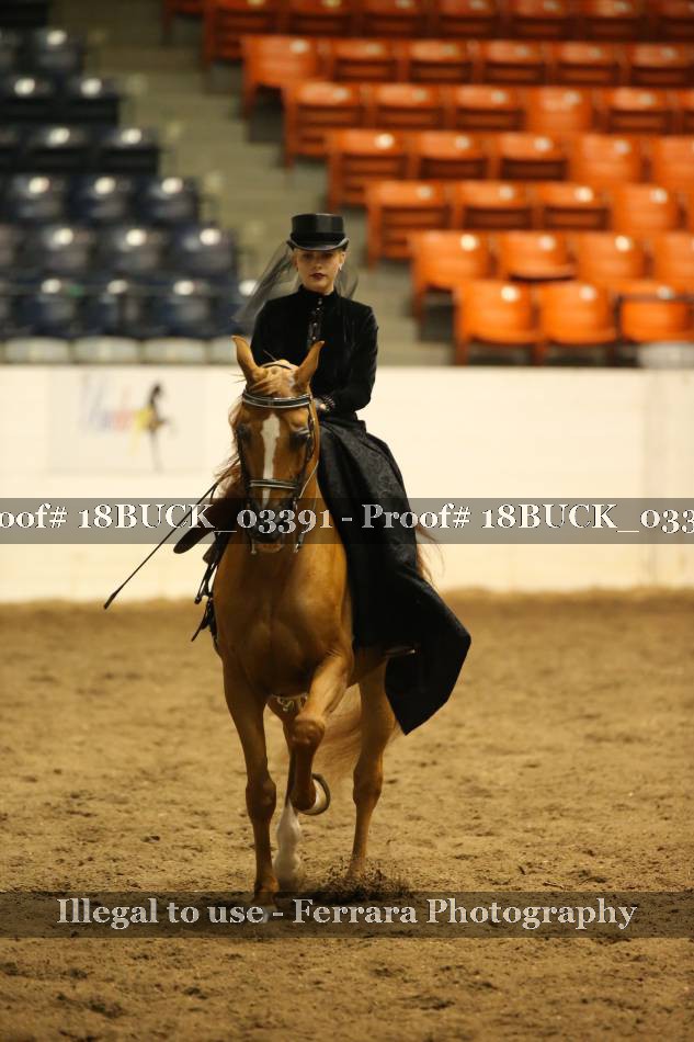 Proof 18BUCK_03391