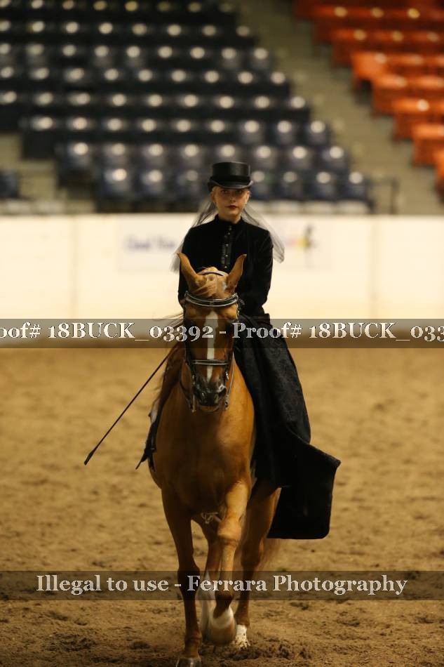 Proof 18BUCK_03392