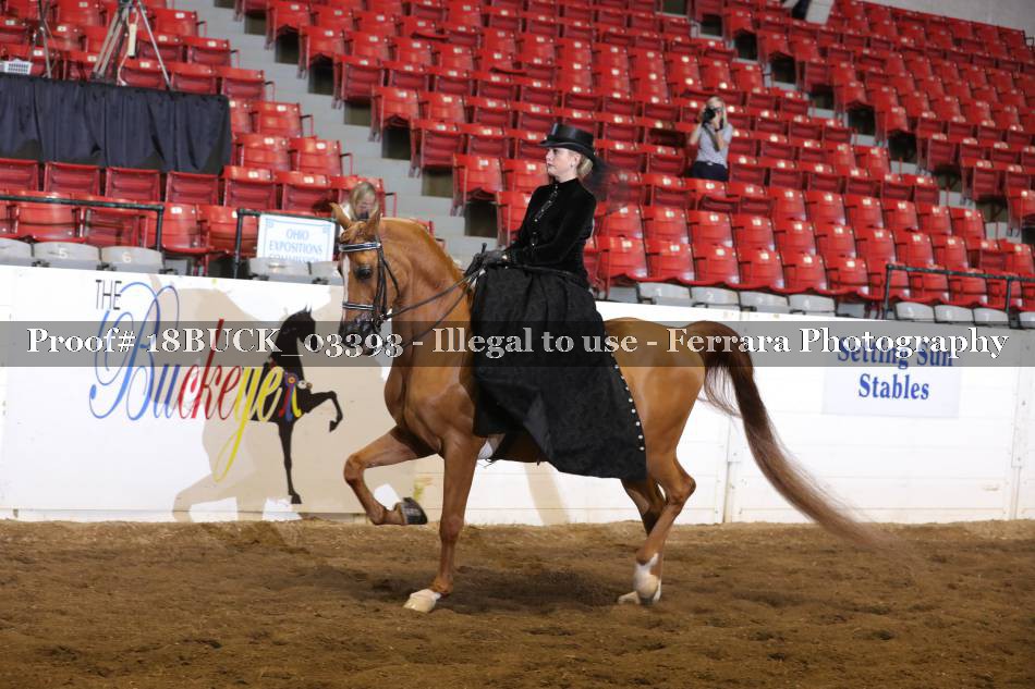 Proof 18BUCK_03393