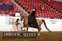 18BUCK_03393 proof