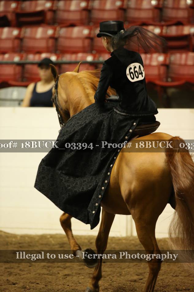Proof 18BUCK_03394