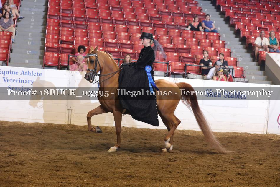 Proof 18BUCK_03395