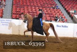 18BUCK_03395 proof
