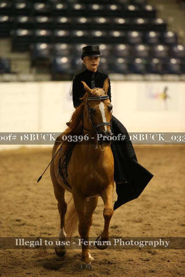 Proof 18BUCK_03396