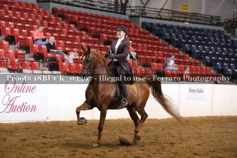 Proof 18BUCK_03397