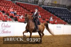 18BUCK_03397 proof