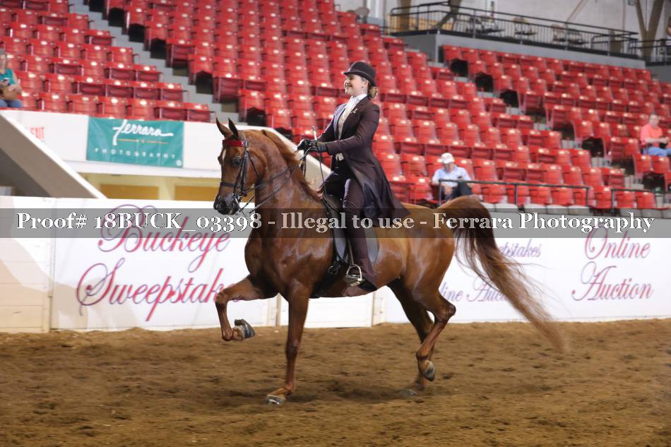 Proof 18BUCK_03398