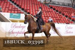 18BUCK_03398 proof