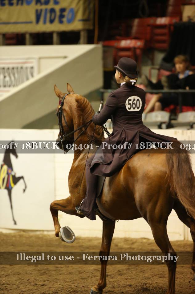 Proof 18BUCK_03401