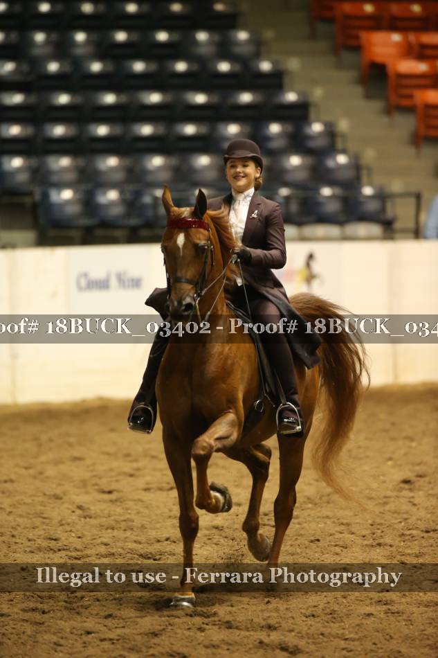 Proof 18BUCK_03402