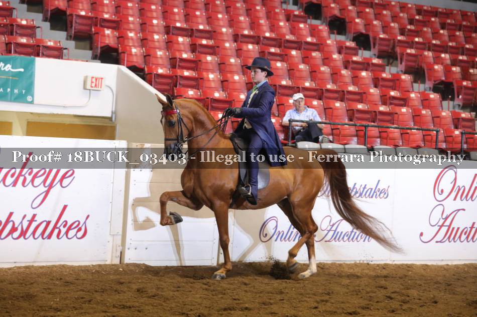 Proof 18BUCK_03403