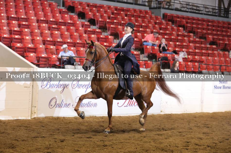 Proof 18BUCK_03404