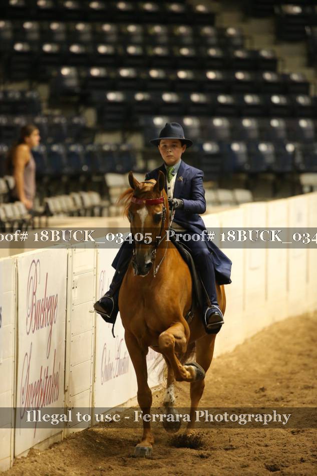 Proof 18BUCK_03405