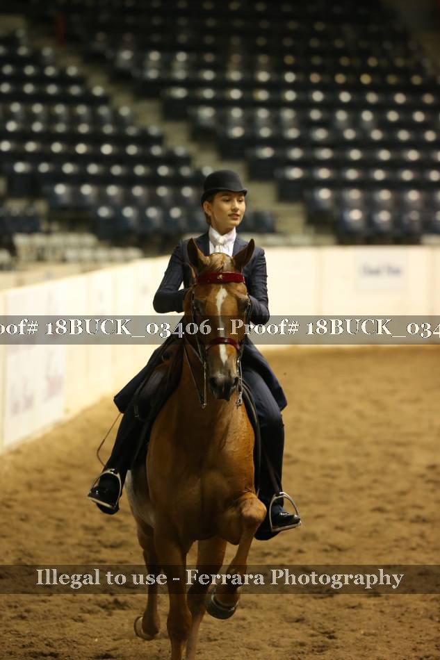 Proof 18BUCK_03406