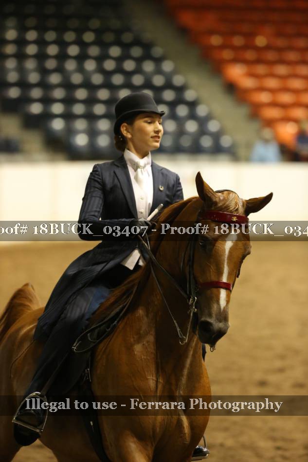Proof 18BUCK_03407