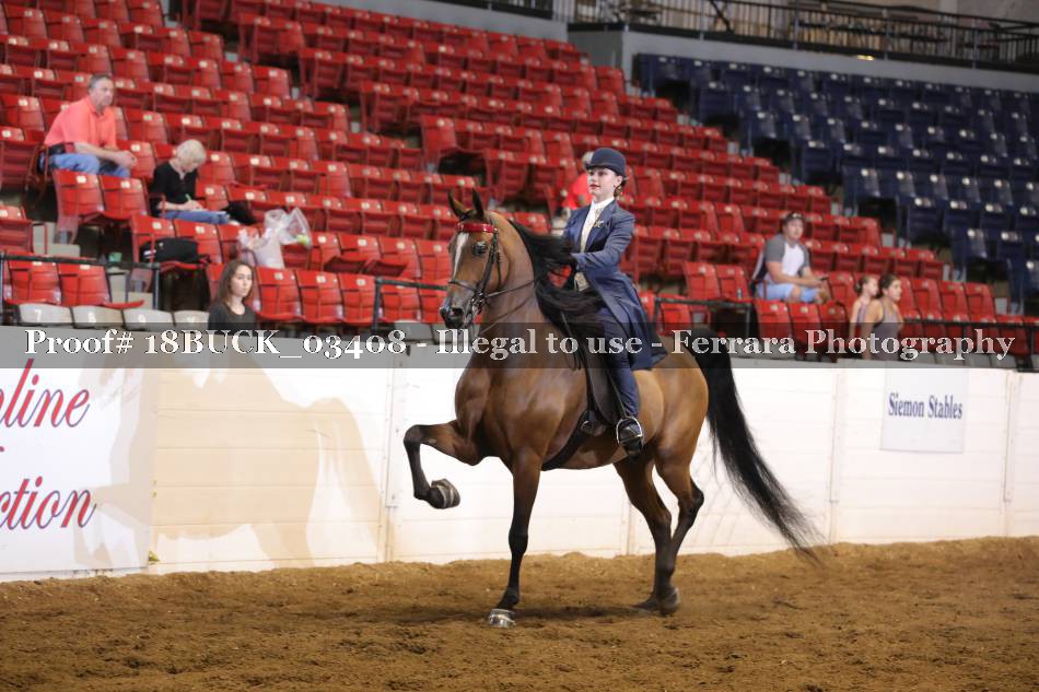 Proof 18BUCK_03408